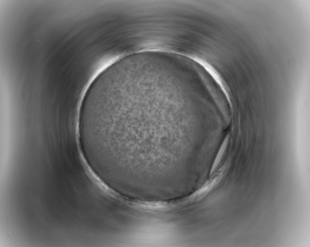 X0000087000957200704301355