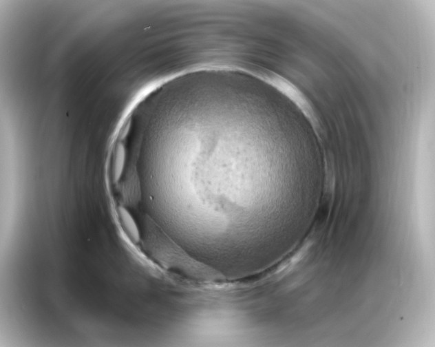 X0000087000958200704301355