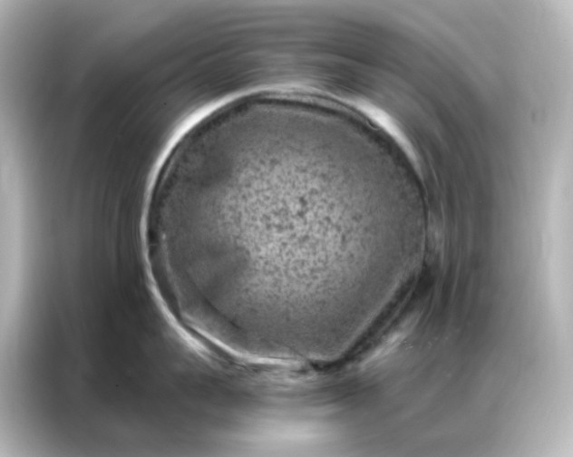X0000087000959200704301355