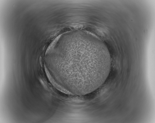 X0000087000962200704301354
