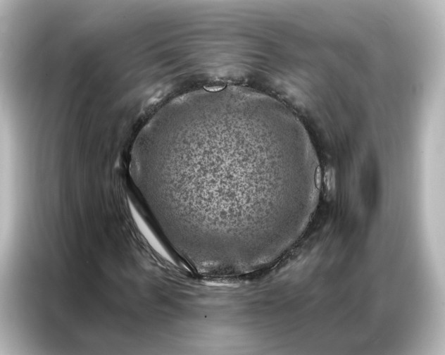 X0000087000963200704301354