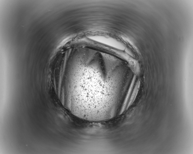 X0000087000968200704301354