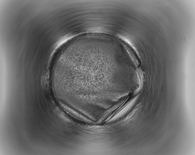 X0000087000971200704301354