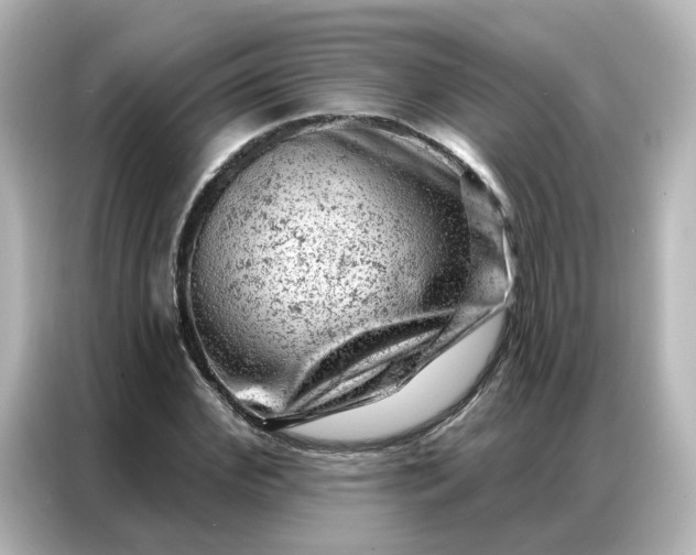 X0000087000972200704301354
