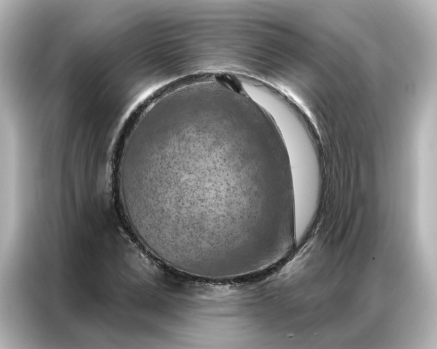 X0000087000975200704301354