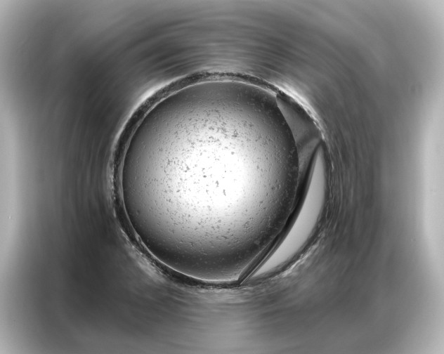 X0000087000976200704301354