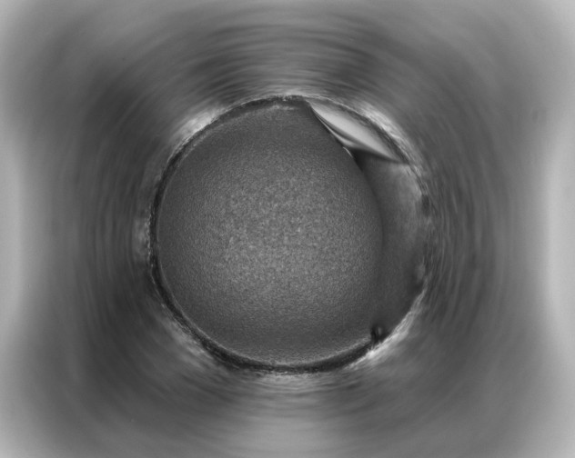 X0000087000977200704301354