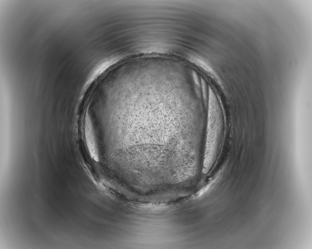 X0000087000978200704301354