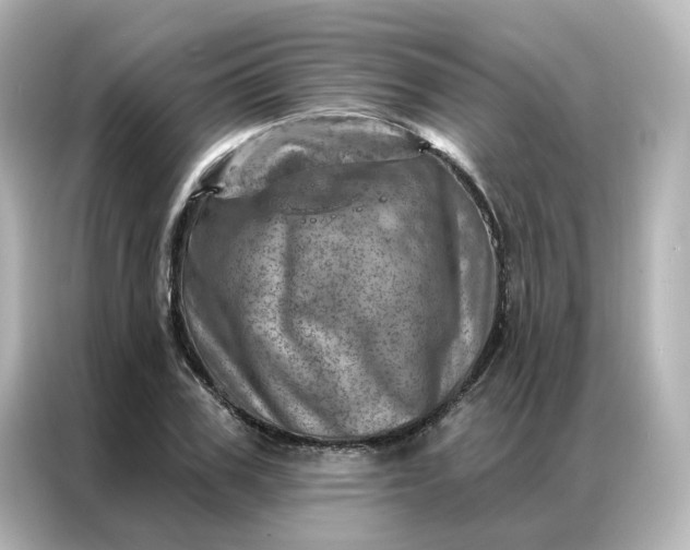 X0000087000979200704301354