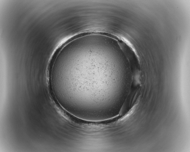 X0000087000981200704301354