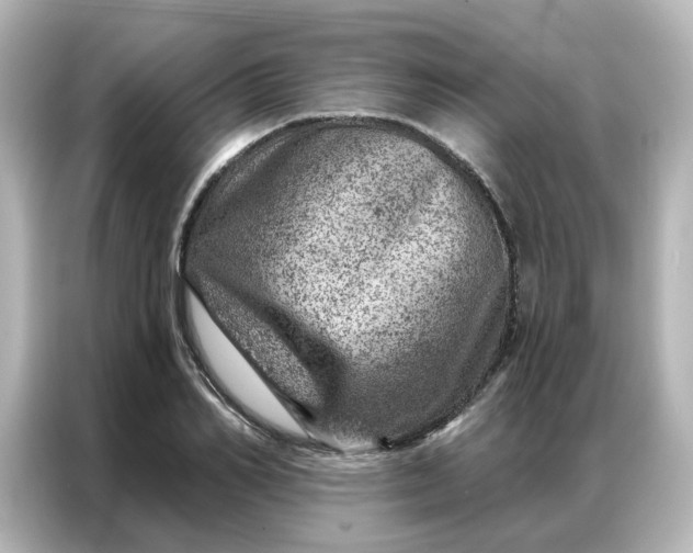 X0000087000982200704301354