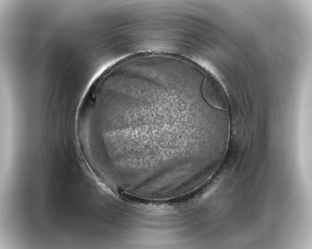 X0000087000983200704301354
