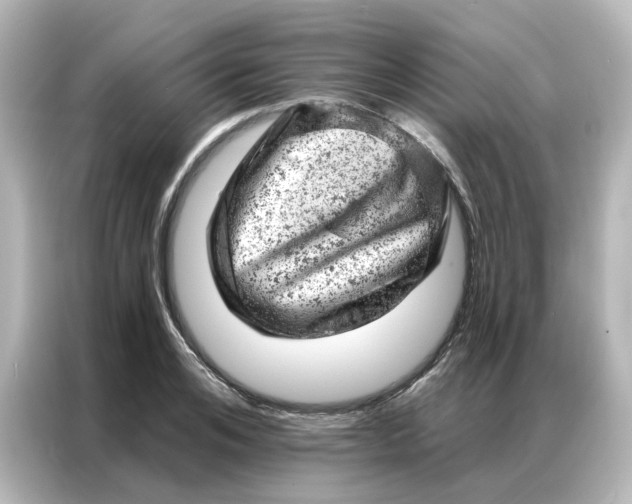 X0000087000984200704301354