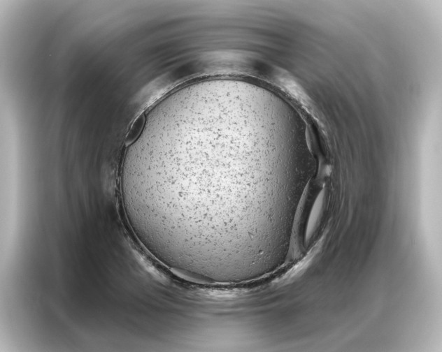 X0000087000985200704301354
