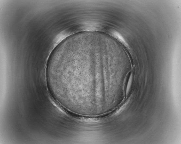 X0000087000986200704301354