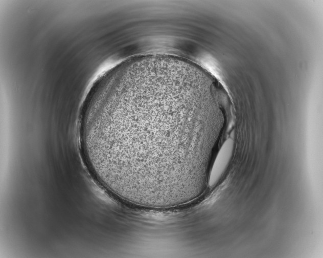 X0000087000987200704301354