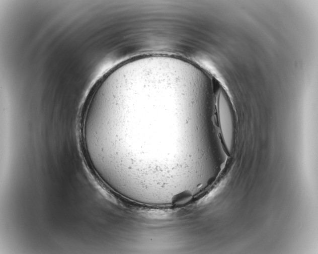 X0000087000989200704301354