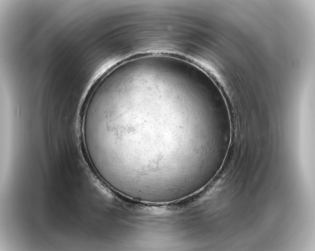 X0000087000990200704301354