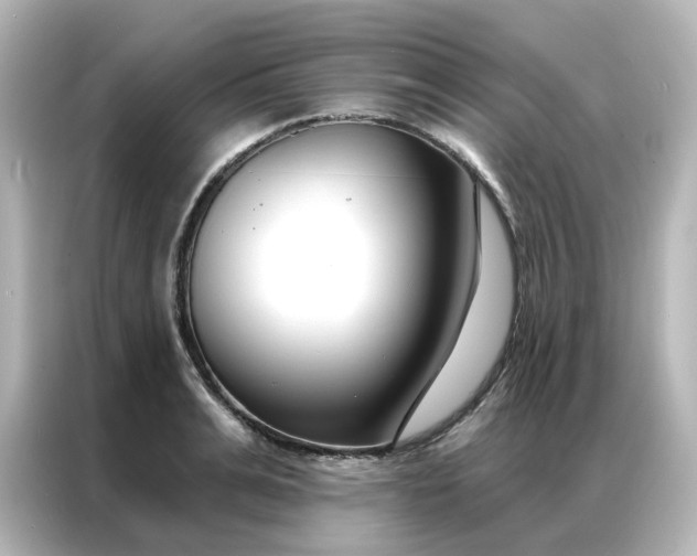 X0000087000991200704301354