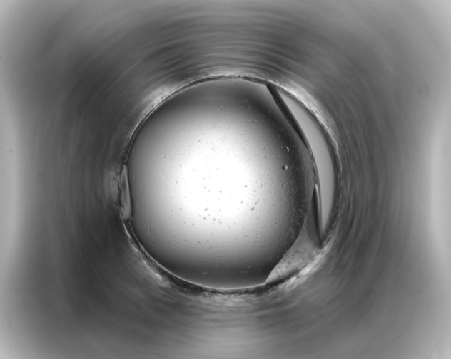 X0000087000993200704301354