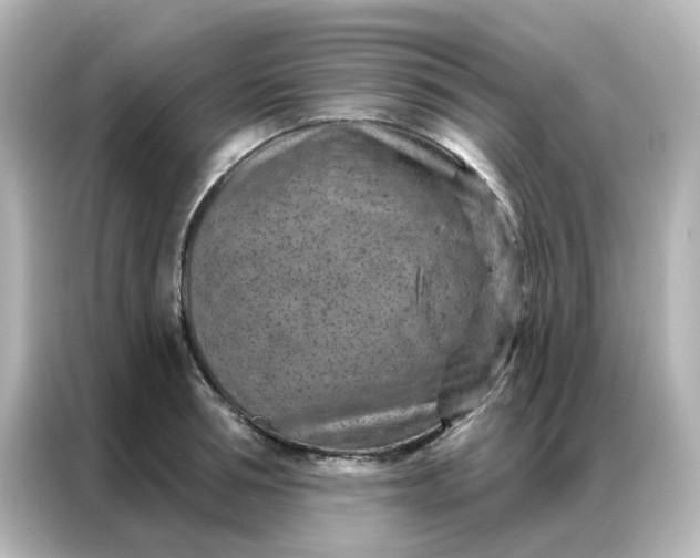 X0000087000994200704301354