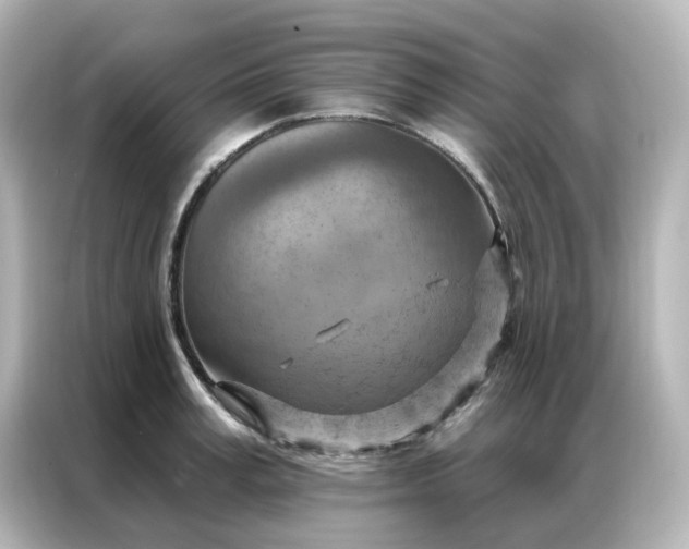 X0000087000995200704301354