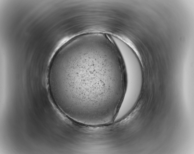 X0000087000997200704301354