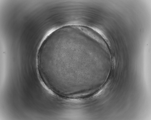 X0000087000998200704301354