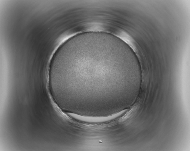 X0000087001000200704301354