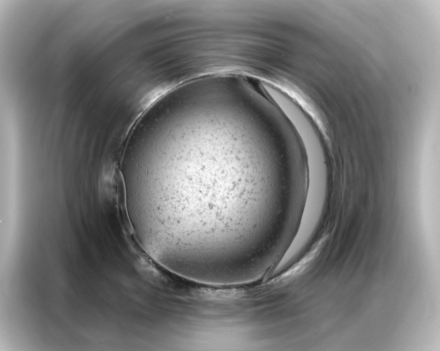X0000087001001200704301354
