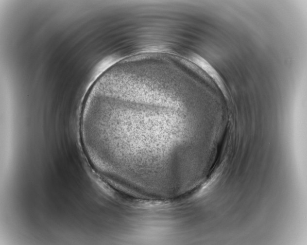 X0000087001002200704301354