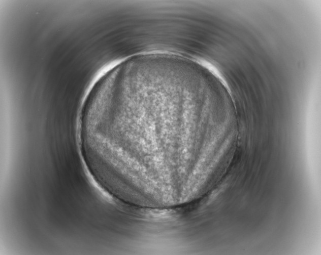 X0000087001003200704301354
