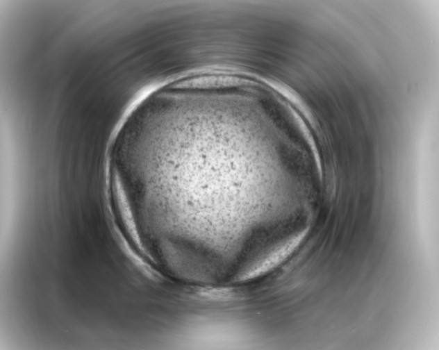 X0000087001006200704301354