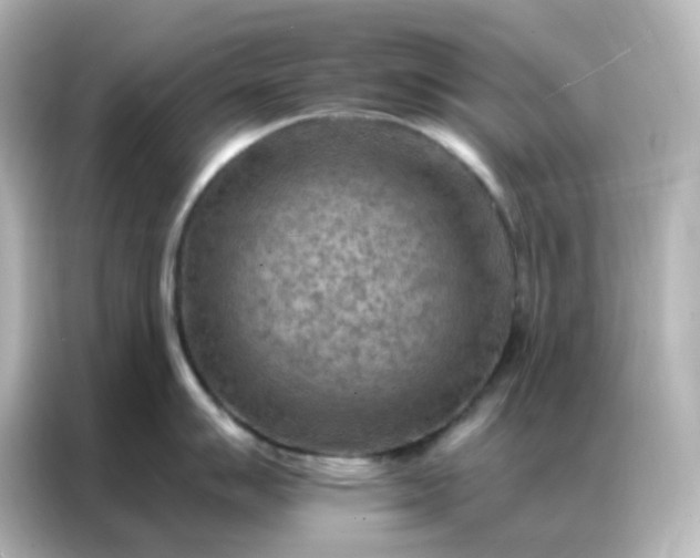 X0000087001007200704301354
