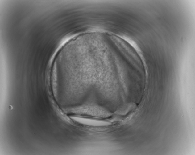 X0000087001008200704301354