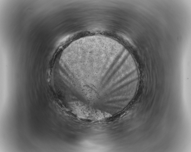 X0000087001016200704301353
