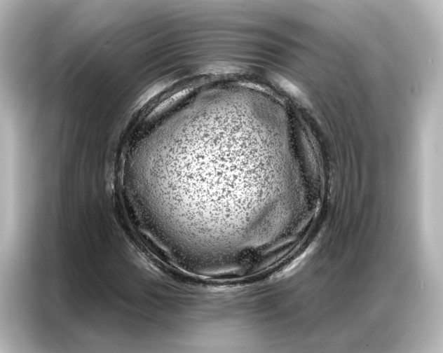 X0000087001017200704301353