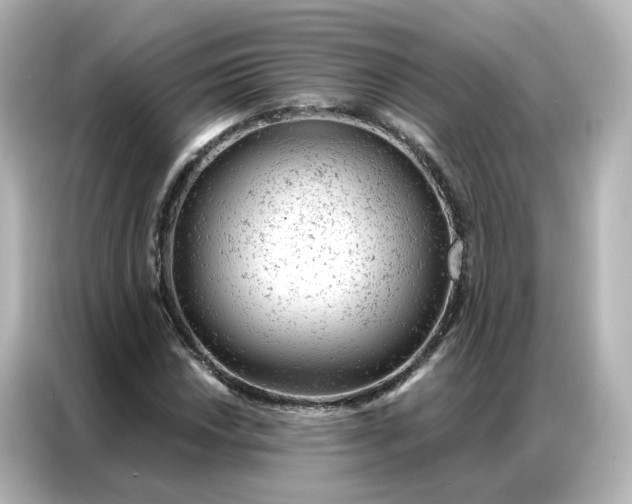 X0000087001018200704301353