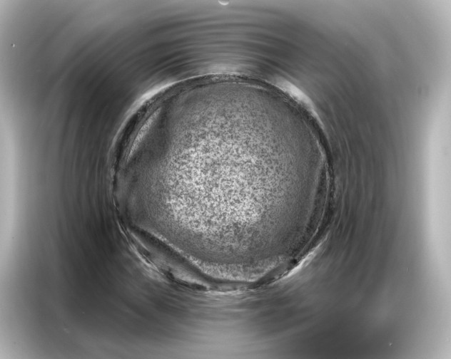 X0000087001019200704301353