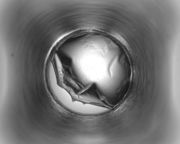 X0000087001020200704301353