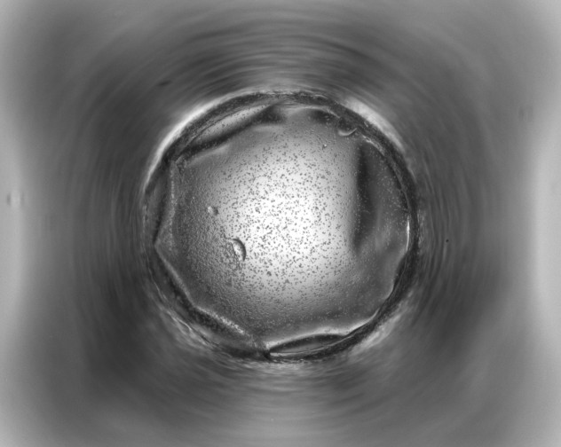 X0000087001021200704301353