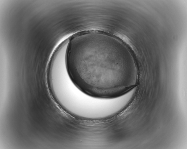 X0000087001024200704301353