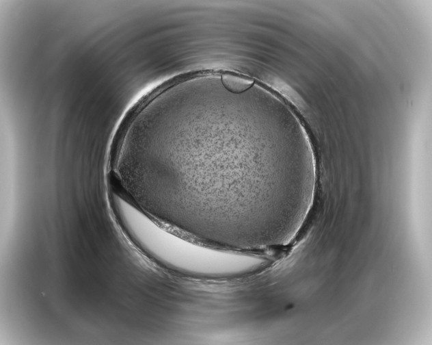 X0000087001028200704301353