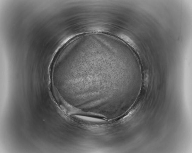 X0000087001031200704301353