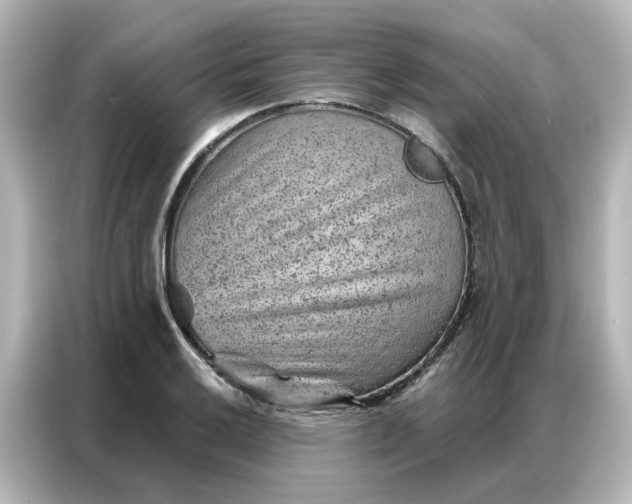 X0000087001032200704301353