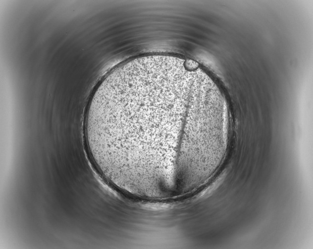X0000087001033200704301353
