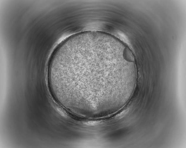 X0000087001035200704301353