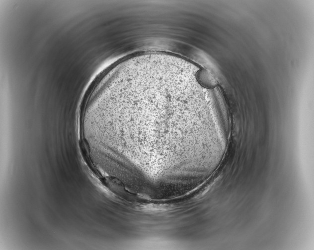 X0000087001036200704301353
