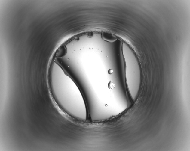 X0000087001038200704301353