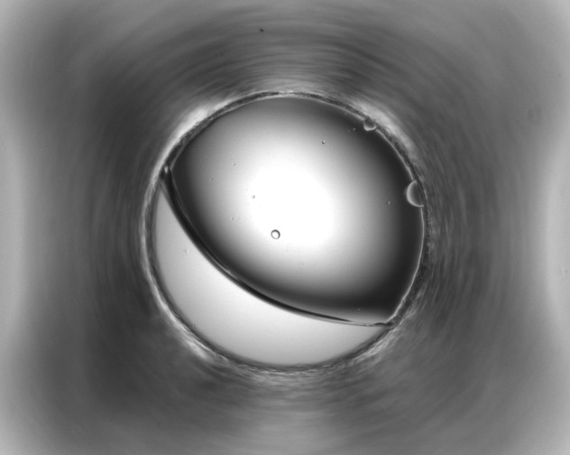 X0000087001040200704301353